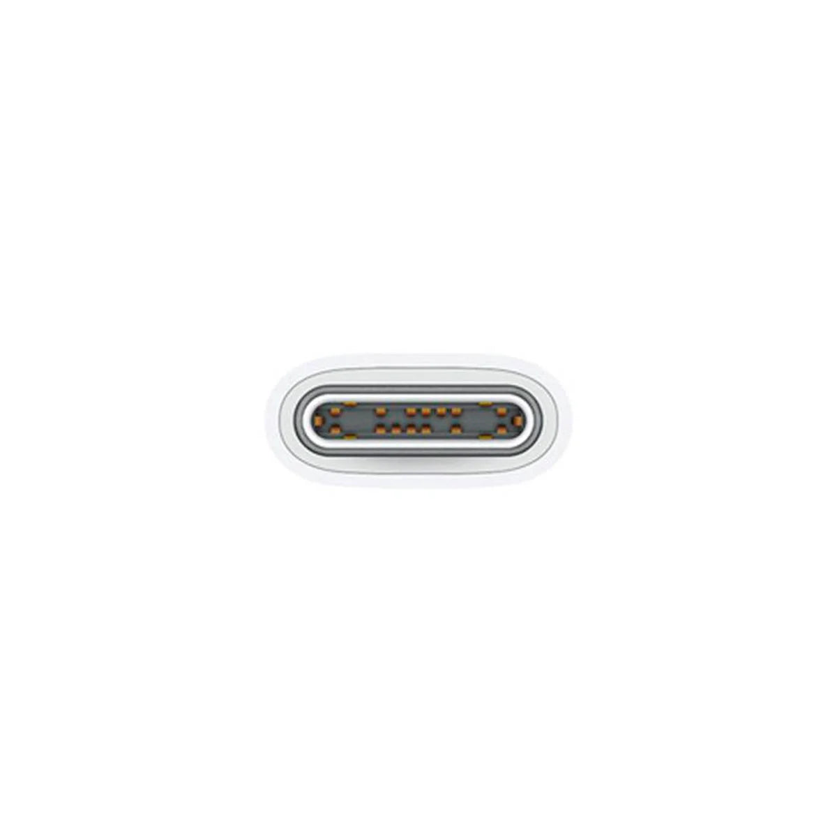 Cabo de Carregamento USB-C 60W da APPLE - 1m / Cor: Branco