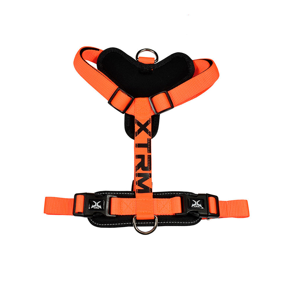 Arnês x-trm cronos neon flash 60-100 x 2,5 cm laranja_0