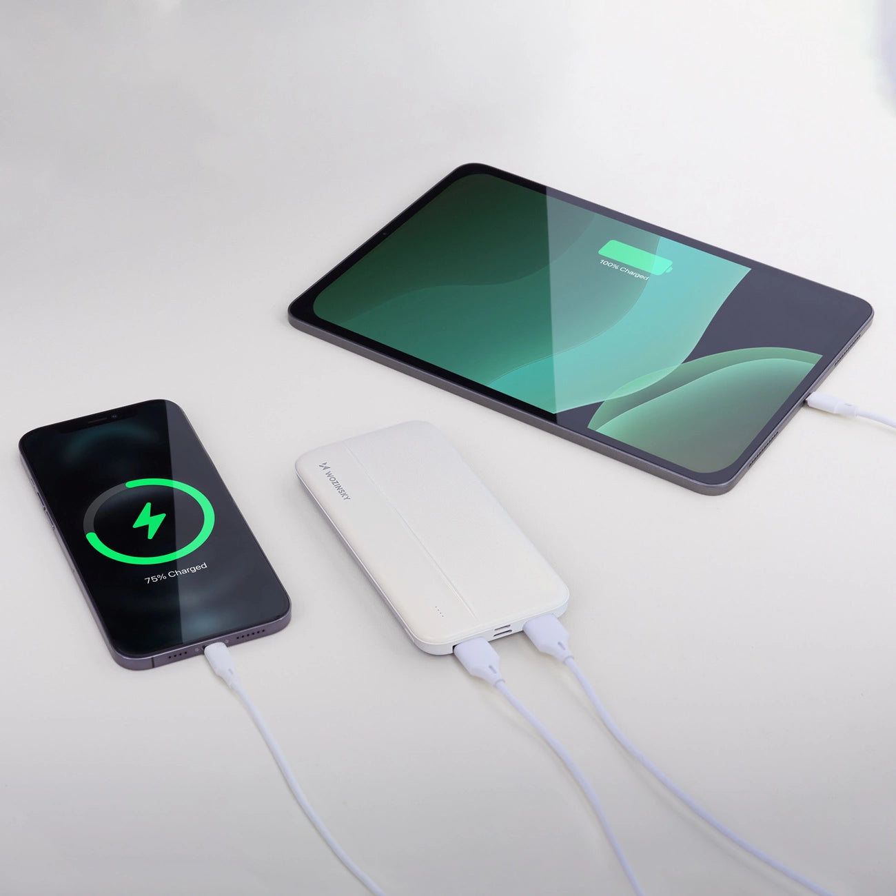 Wozinsky powerbank Li-Po 10000mAh 2 x USB white (WPBWE1)_3
