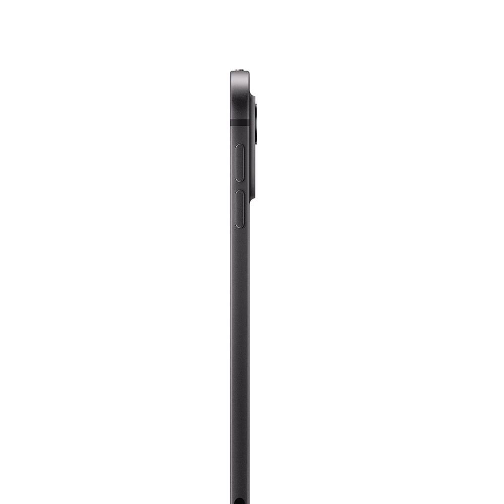 iPad Pro 11" WiFi 256GB / Vidro padrão / Preto / Apple