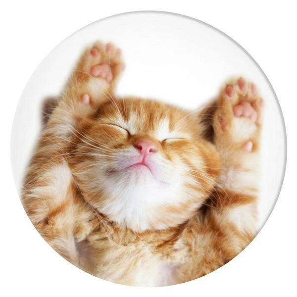 Popsockets 2 Snoozy Cat Holder and Phone Stand_1