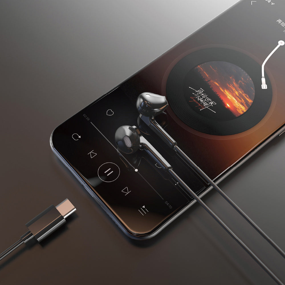 Dudao X3C In-Ear Wired USB-C Headphones 1.2m - Black_1