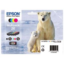 orso polare_1