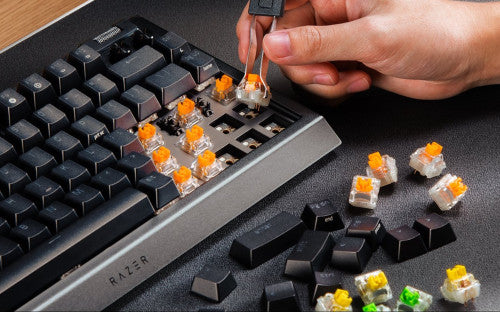 BlackWidow V4 75%, Gaming-Tastatur_2