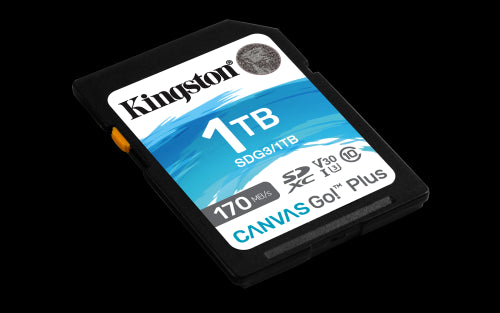 Canvas Go! Plus 1 TB SDXC, Speicherkarte_1