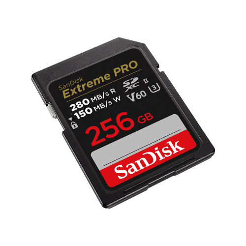 SanDisk SDSDXEP-256G-GN4IN memoria flash 256 GB SDXC UHS-II Clase 10_2