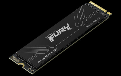 Kingston Technology 1T FURY RENEGADE G5 M.2 2280 NVMe SSD_3