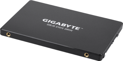 SSD GIGABYTE Gen4 4000E / 250 GB_1