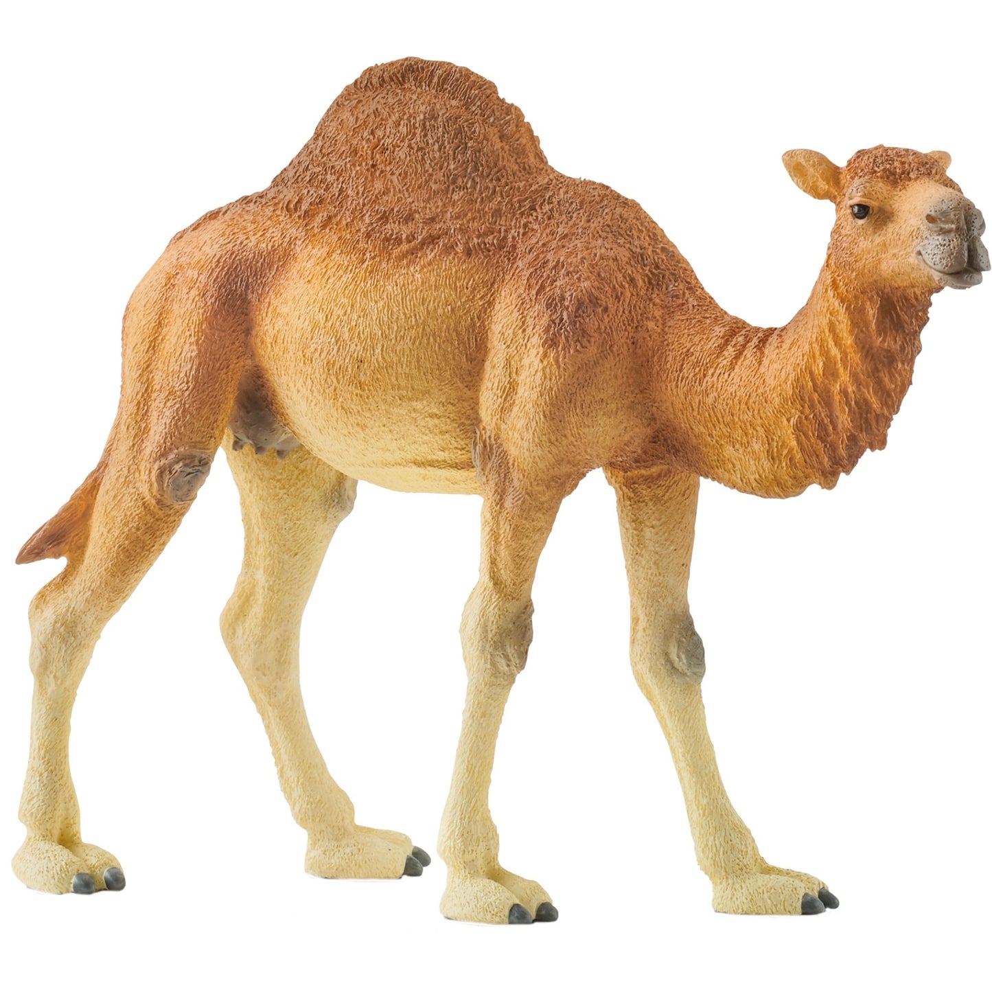 Figura Schleich Wildlife Dromedário 14832