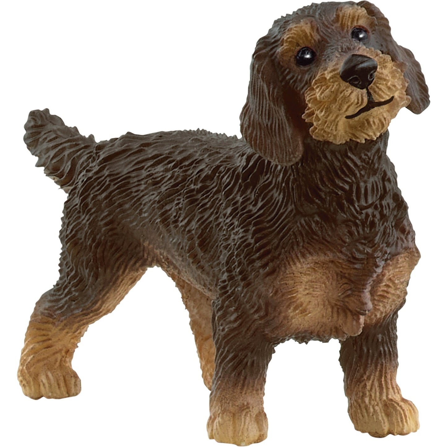 Figura Schleich Teckel Pelo Duro 13972 Farm World