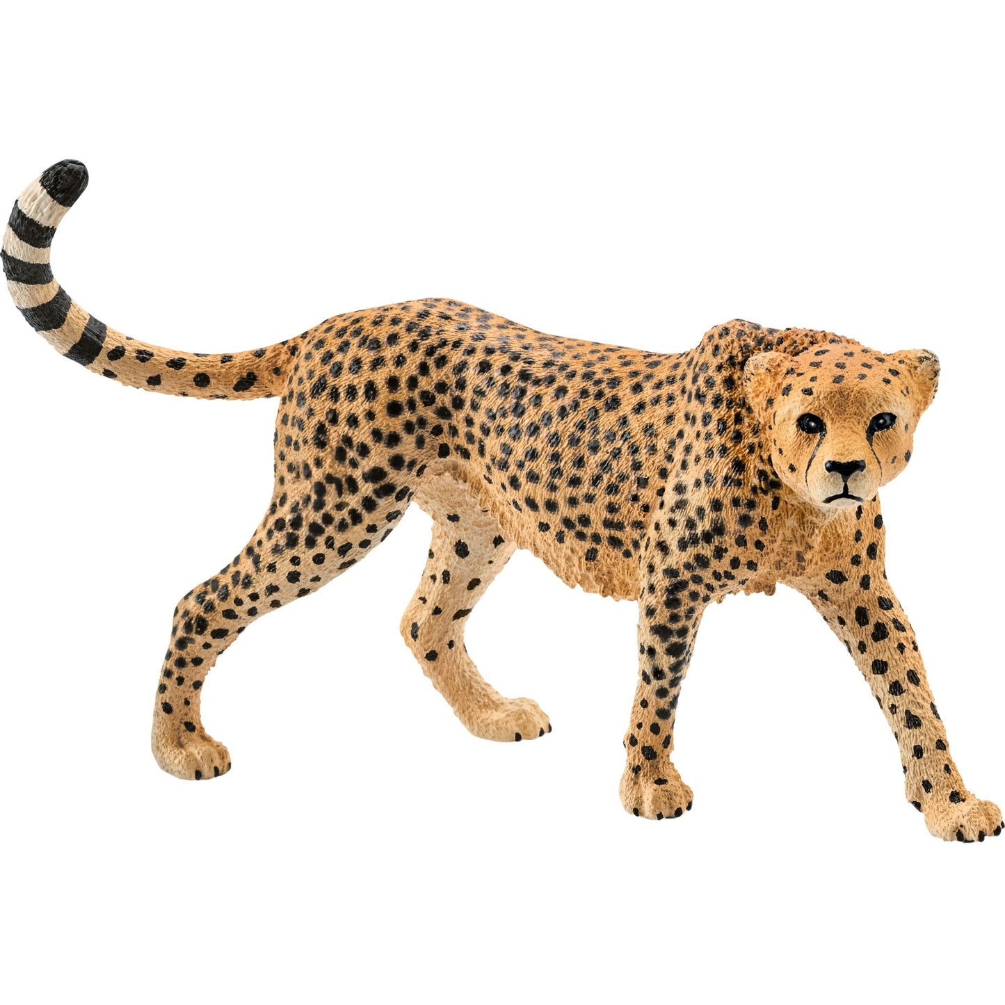 Figura Schleich Chita 14746 Wildlife