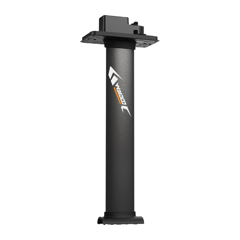 Mast for WAYDOO EVO 31" boards (79 cm)_3