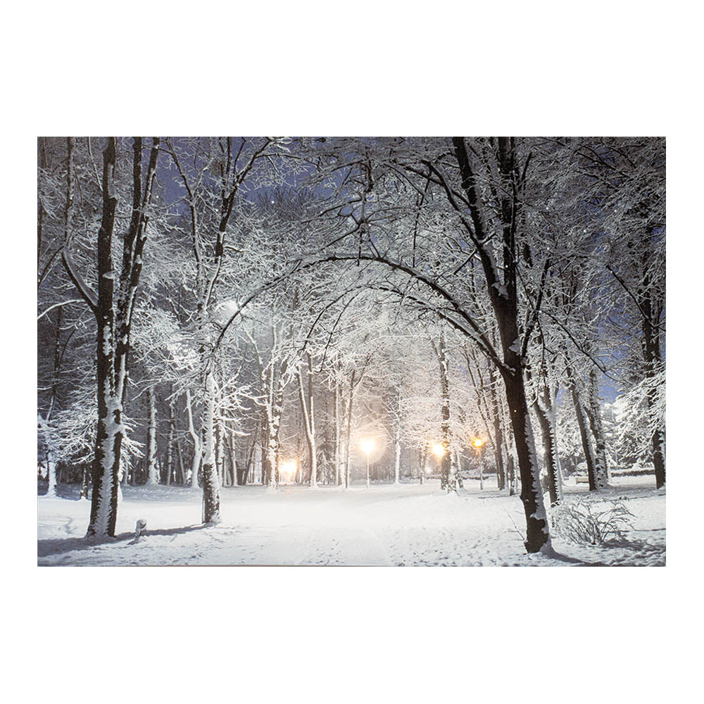 Quadro led paisagens nevadas 58x1,5x38cm 6 leds 2 modelos sortidos_0