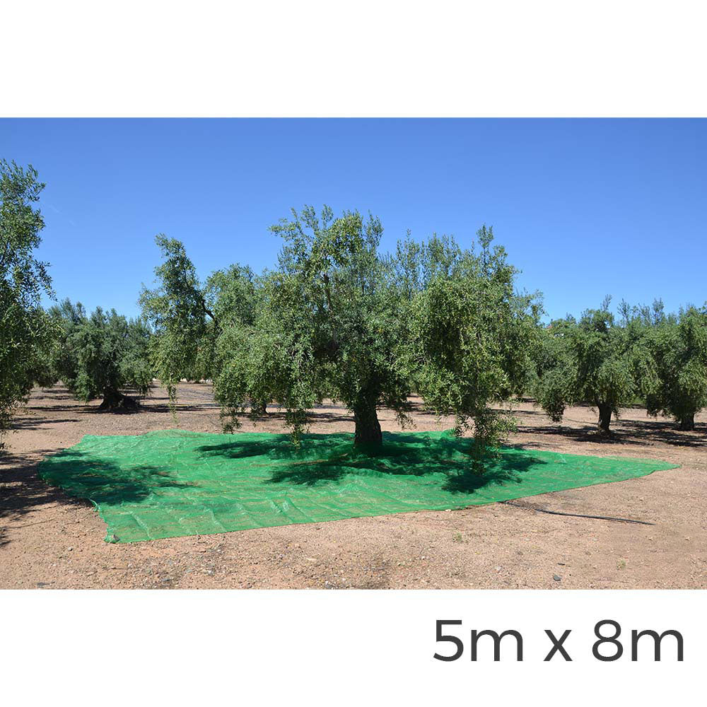 Manto para coleta de frutas 5x8m cor verde_0