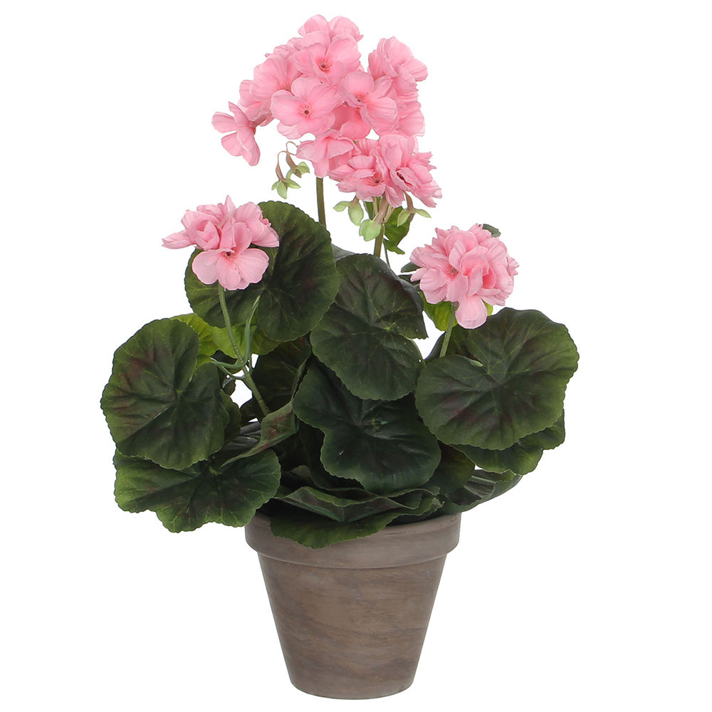 Gerânio cor rosa pvc em vaso cinzento_0