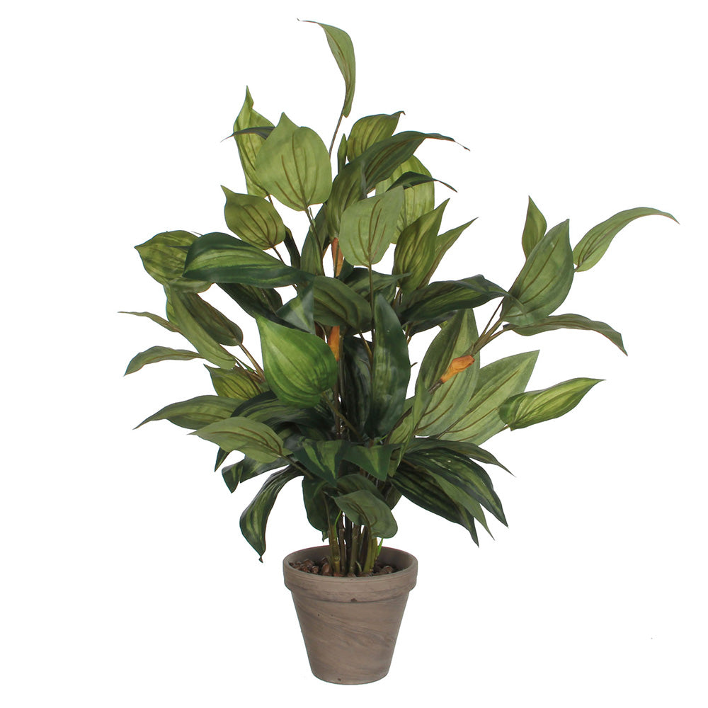 Hosta verde pvc em vaso cinzento_0