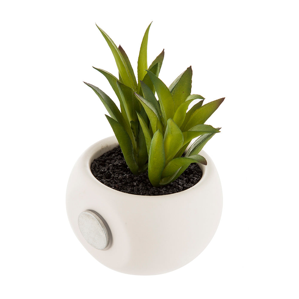 Mini plantas decorativas com Ãman vários modelos 6cm_0
