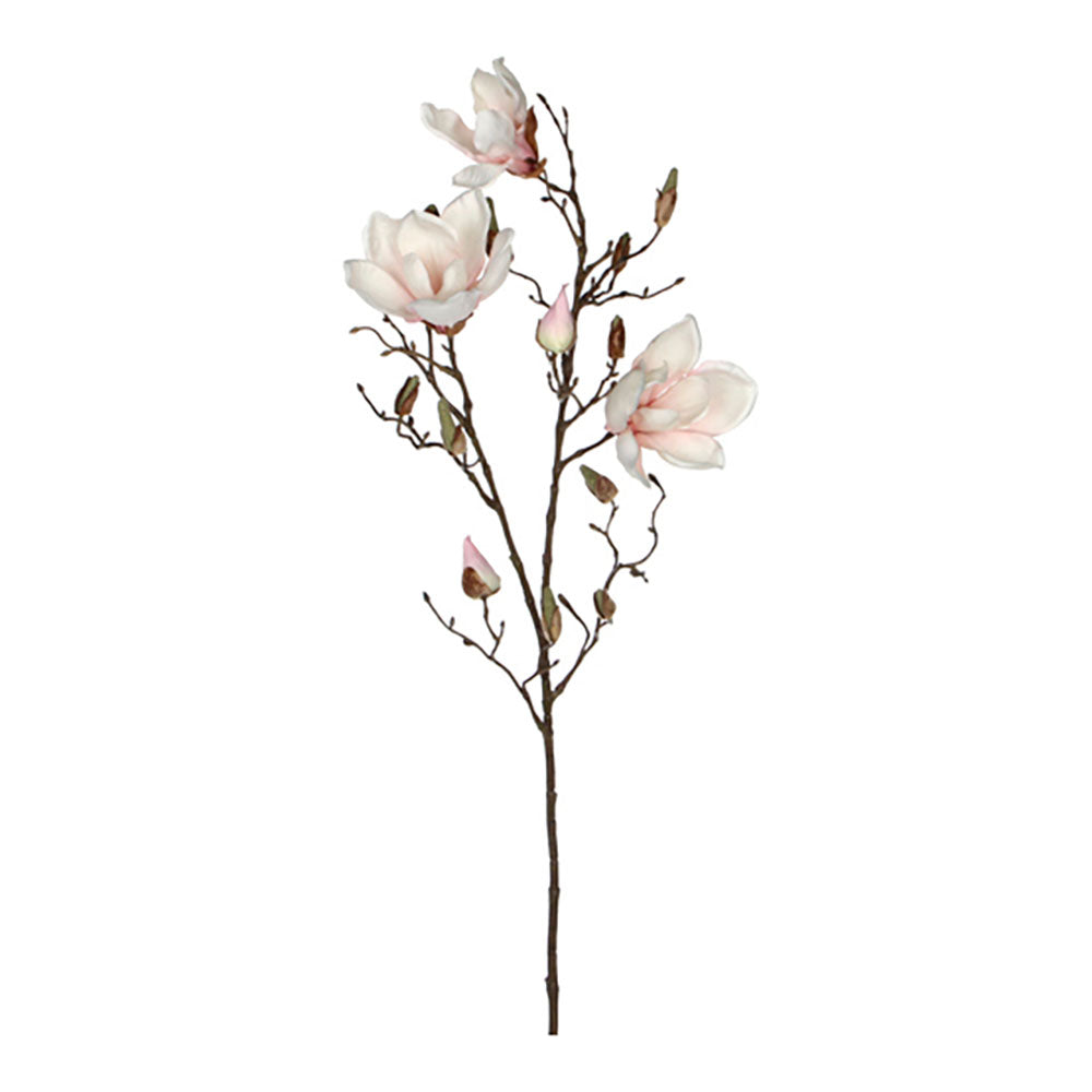 Magnolia cor rosa 88cm_0