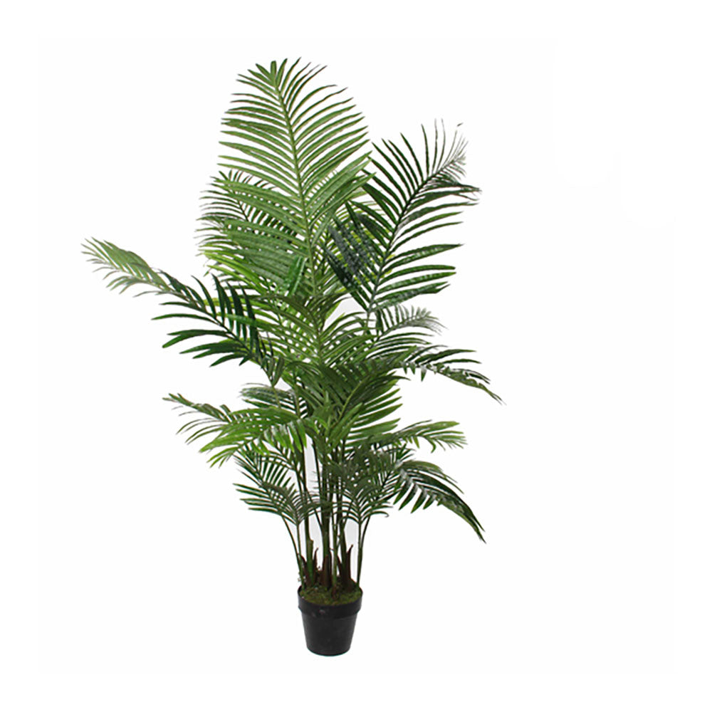 Planta artificial palmeira areca com vaso ø80x160cm_0