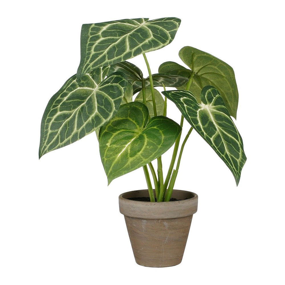 Planta artificial caladium "orelha de elefante" verde com vaso ø21x28cm_0