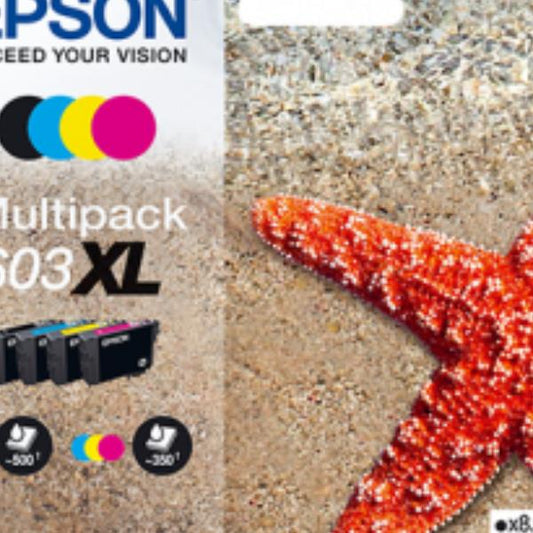 Tinte Multipack Epson / Preto / C13T03A64010_0