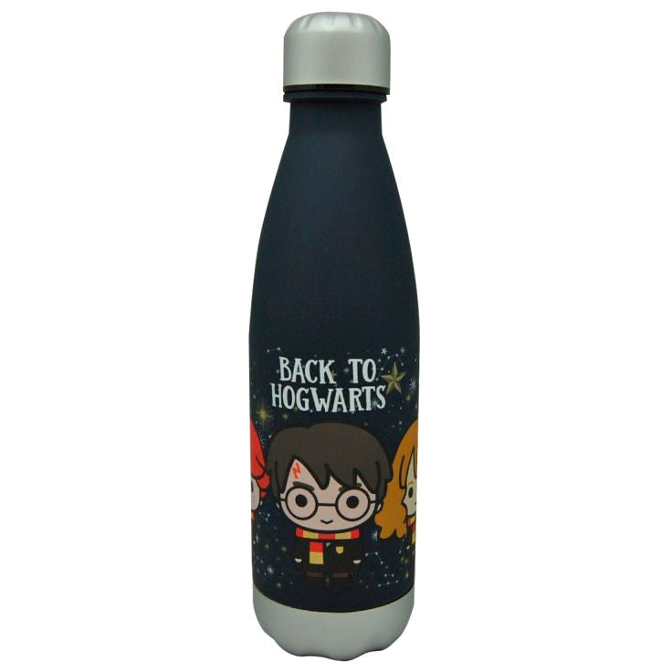 Botella Back to Hogwarts Harry Potter 650ml_0