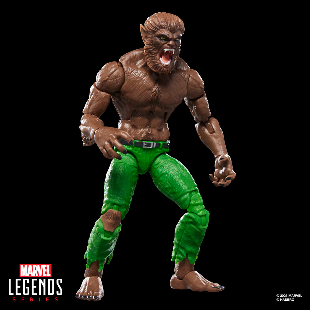 Figura Werewolf By Night Marvel Legends Series 15cm_0