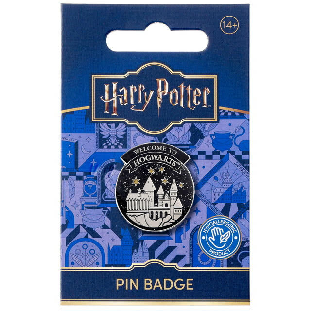 Pin Welcome to Hogwarts Harry Potter_0