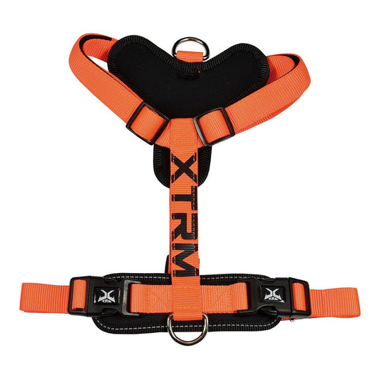 ArnÃªs x-trm cronos neon flash laranja, t-m 20 mm x 46-75 cm_0