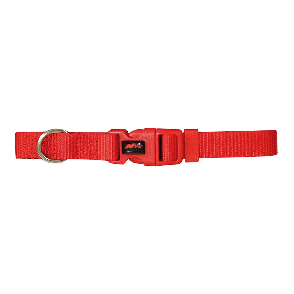 Coleira basic vermelha 15 mm x 33-40 cm_0