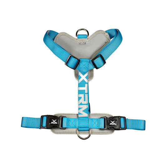 ArnÃªs x-trm cronos neon flash 35-60x1.5cm azul nayeco_0