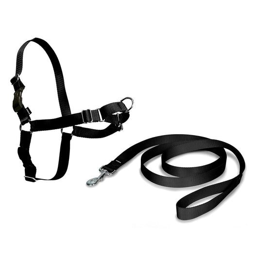 Arnes easy walk mÃ©dio cor preto_0