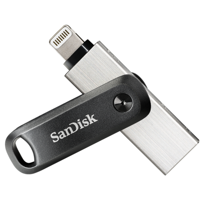 iXpand Go 256 GB, USB-Stick_0