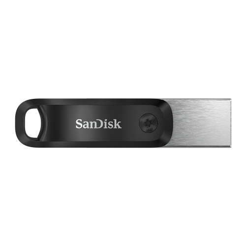iXpand Go 256 GB, USB-Stick_1