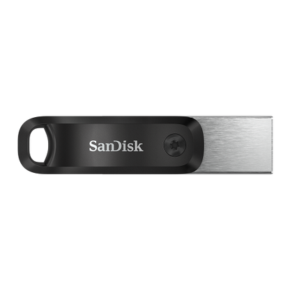 iXpand Go 256 GB, USB-Stick_1