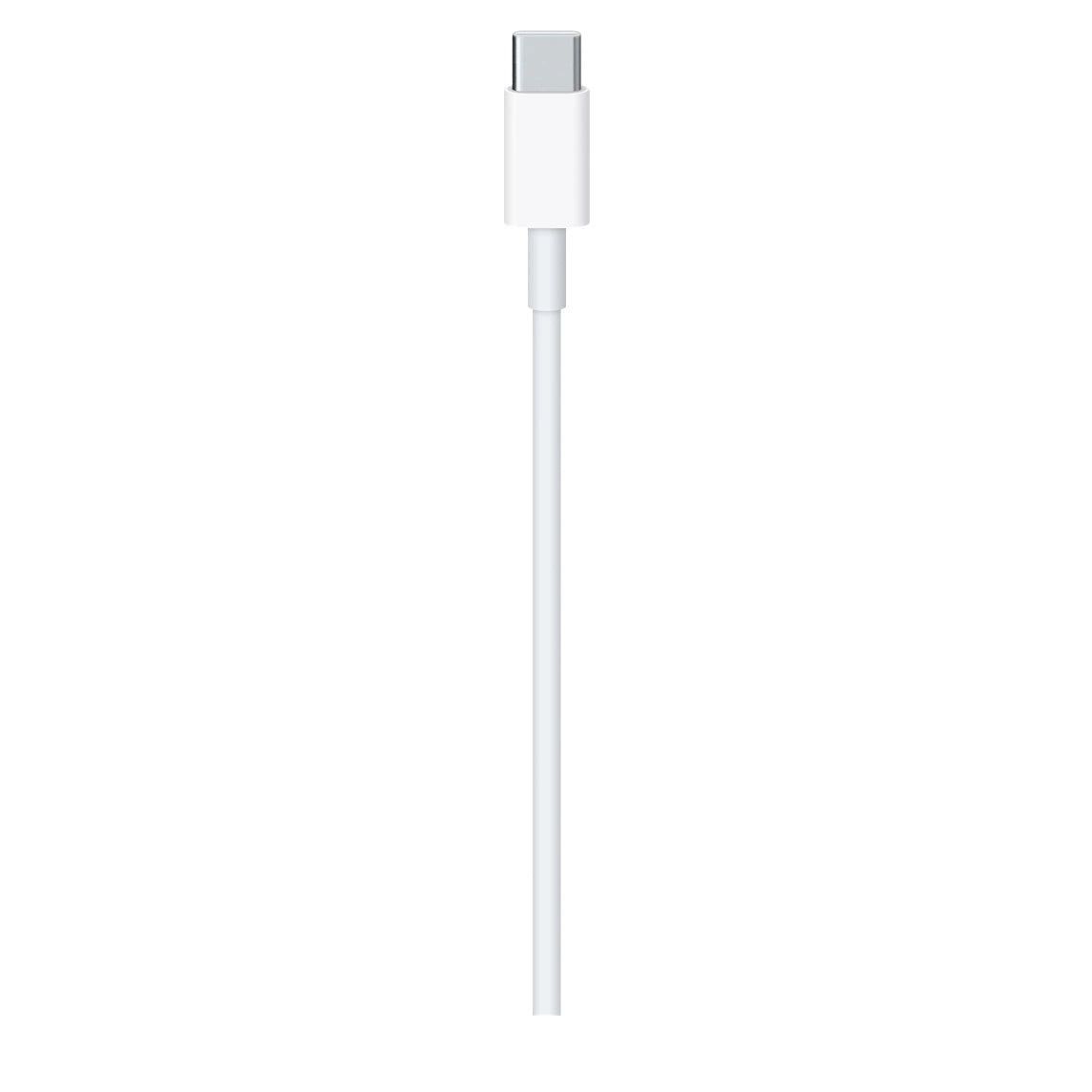 APPLE CHARGER USB-C 1M CABLE MM093ZM/A_2