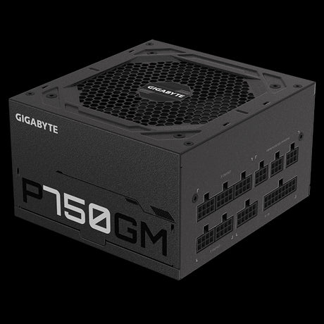 Fonte de Alimentação GIGABYTE P750GM / 750W / 20+4 pin ATX / Preto_2