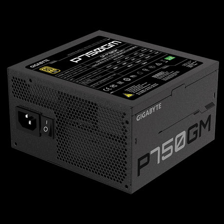 Fonte de Alimentação GIGABYTE P750GM / 750W / 20+4 pin ATX / Preto_3