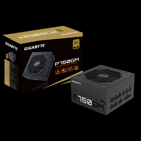 Fonte de Alimentação GIGABYTE P750GM / 750W / 20+4 pin ATX / Preto_6