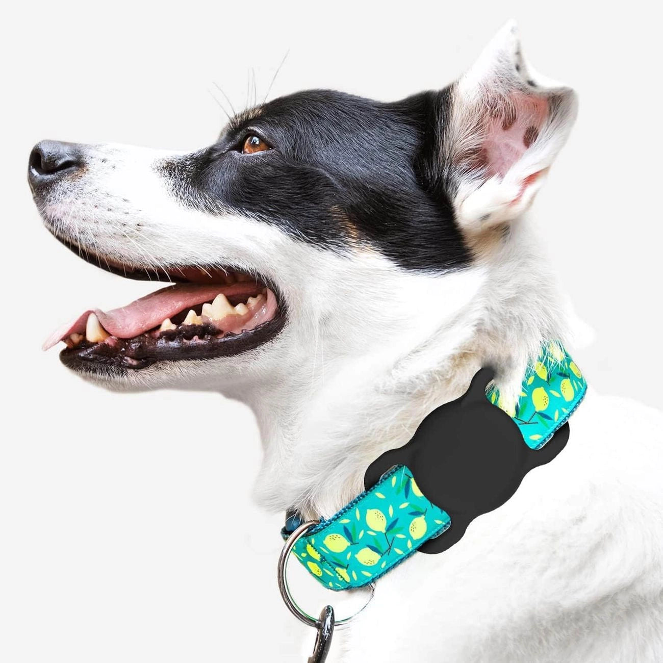 Apple AirTag Silicone Case for Dog or Cat Collar - Black_1