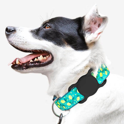 Apple AirTag Silicone Case for Dog or Cat Collar - Black_1