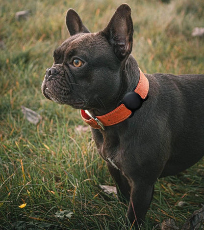 Apple AirTag Silicone Case for Dog or Cat Collar - Black_4