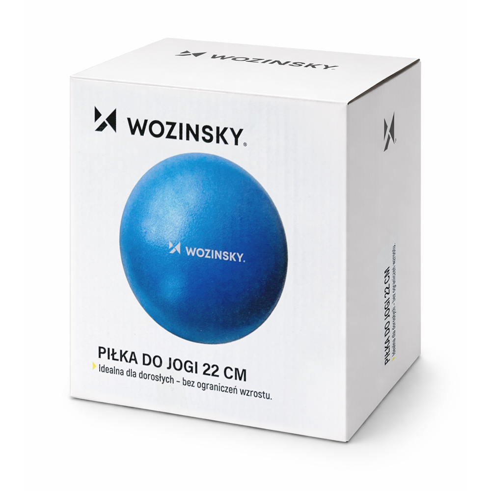 Wozinsky WPDP-N22 rehabilitation exercise ball 22cm - blue_1