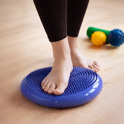 Wozinsky WPSD-01 sensory cushion for rehabilitation hedgehog - blue_3