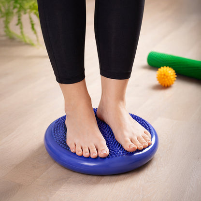 Wozinsky WPSD-01 sensory cushion for rehabilitation hedgehog - blue_4