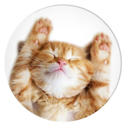 Popsockets 2 Snoozy Cat Holder and Phone Stand_1