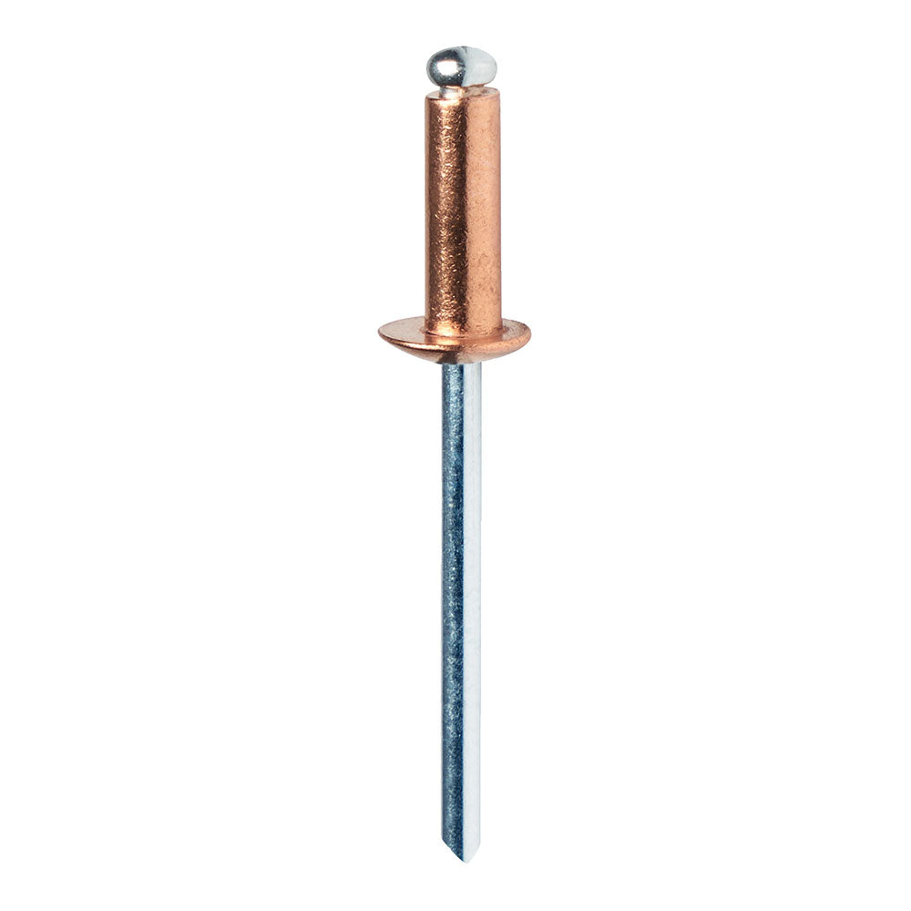 BlÃ­ster de 50 rebites Ã¸4,8x12mm alu+broca cobreado 5001467 rapid_0