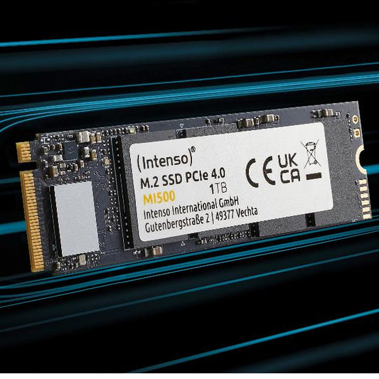 MI500 1 TB, SSD_0