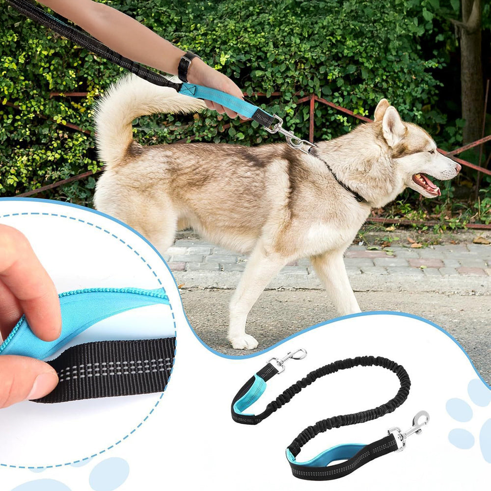 Wozinsky WPST-01 Hip Belt with Pouch and Elastic Leash for Running with a Dog - Black_6