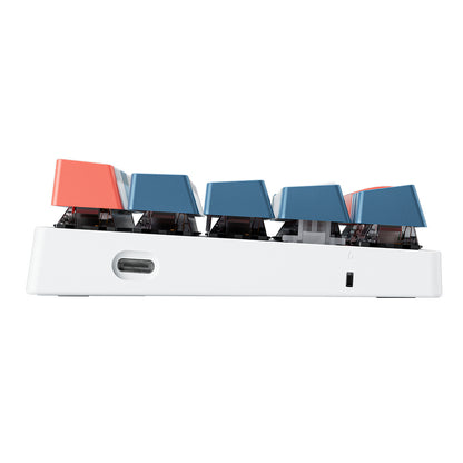 Machenike K500-B61 Wired Mechanical Gaming Keyboard with Backlight, Red Switch - White and Blue_5